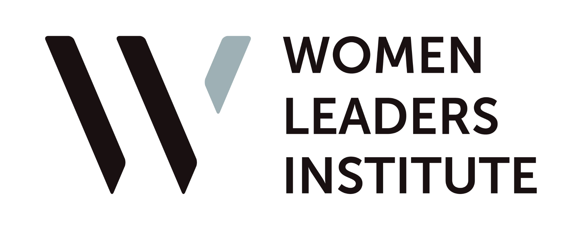 Women Leaders Institute
