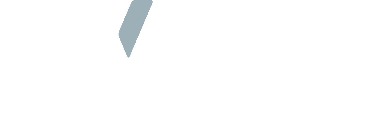 Women Leaders Institute